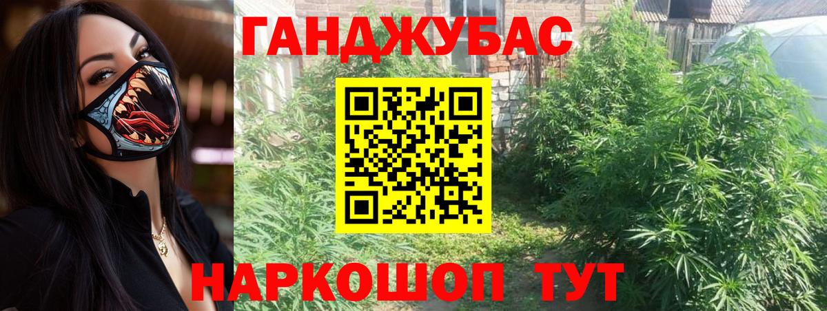 Шишки марихуана сатива Осинники